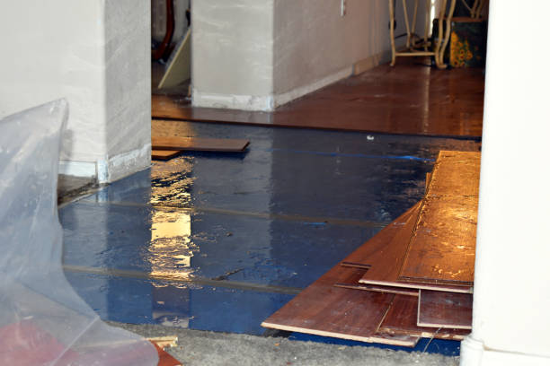 Professional Flood Damage Repair technician working in Lakemore, OH